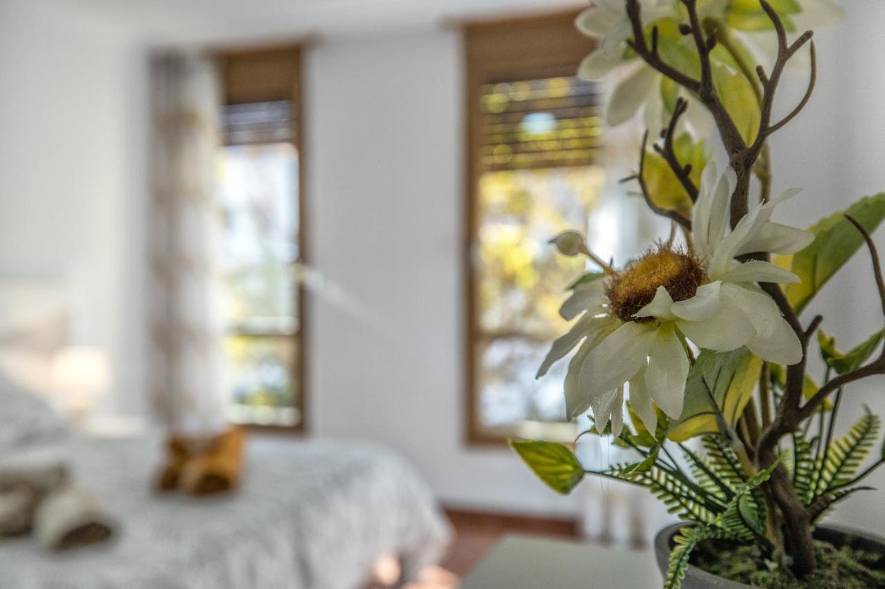 La Perla Del Centro Apartment Cordoba Ngoại thất bức ảnh